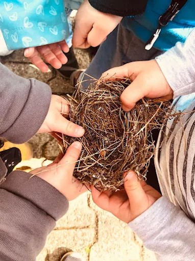 Mehrere Kinderhände halten gemeinsam ein Vogelnest